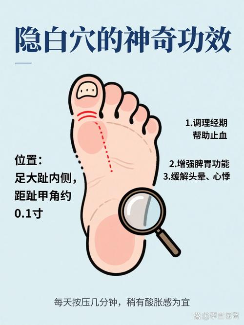 隐白穴位位置图及功效