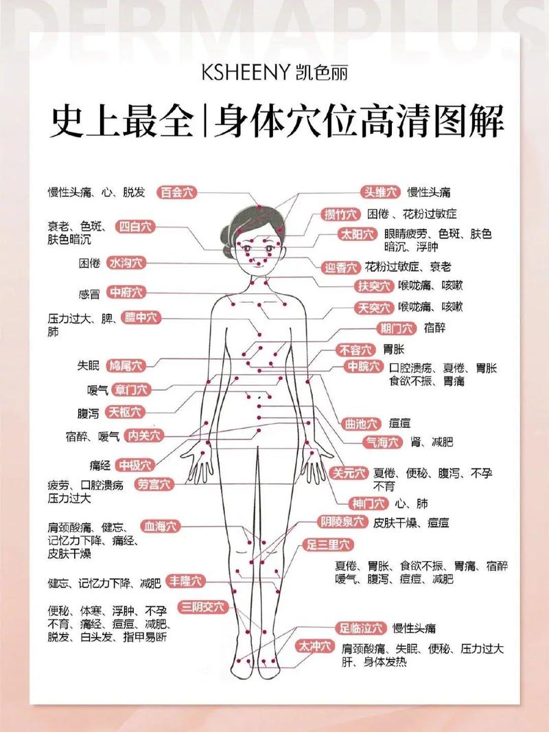 人体总共有多少个穴位