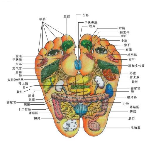 脚底穴位图及按摩方法