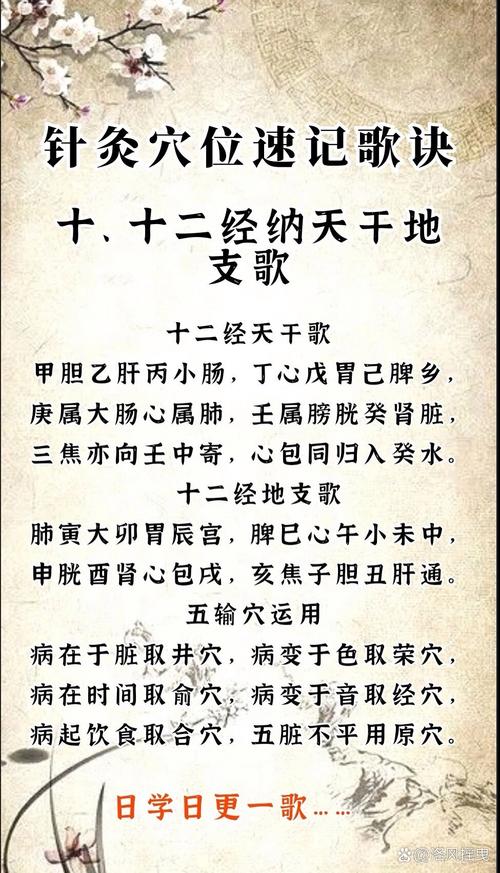 中医针灸穴位速记歌诀