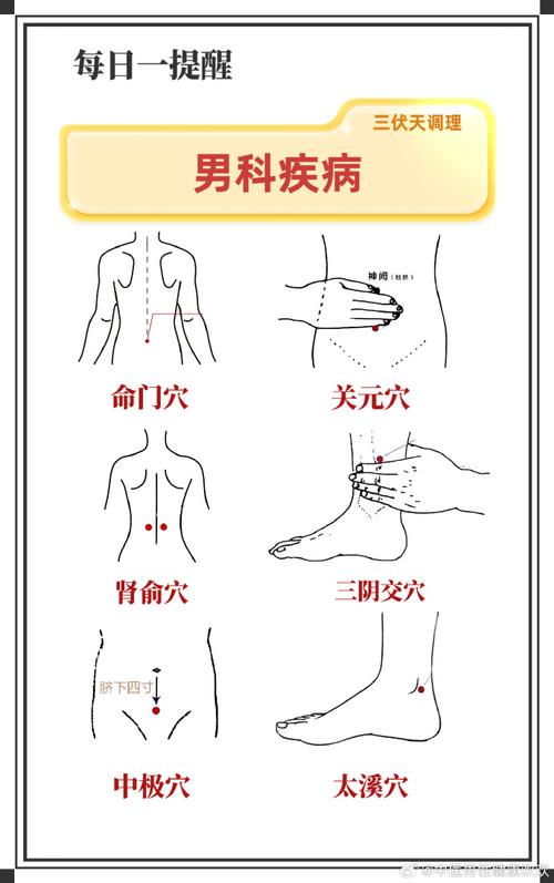 提高男性性功能的穴位