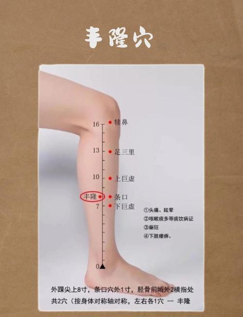 丰隆穴位位置图和作用