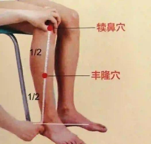 丰隆穴位位置图和作用