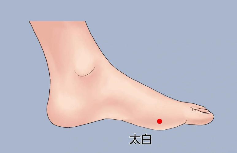 太白穴位位置图和作用