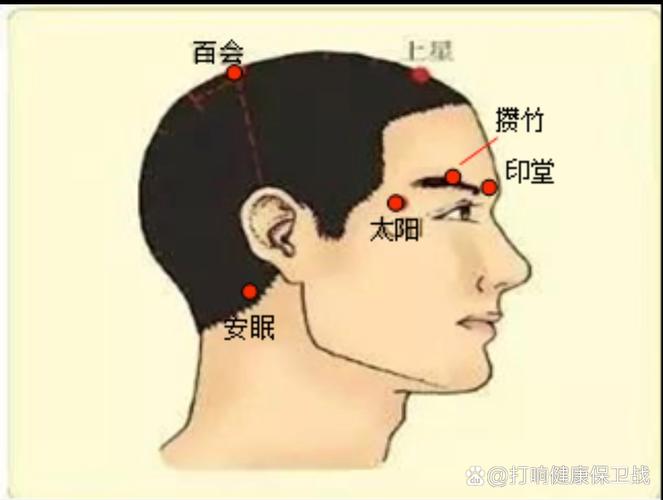 太阳穴下面是什么穴位
