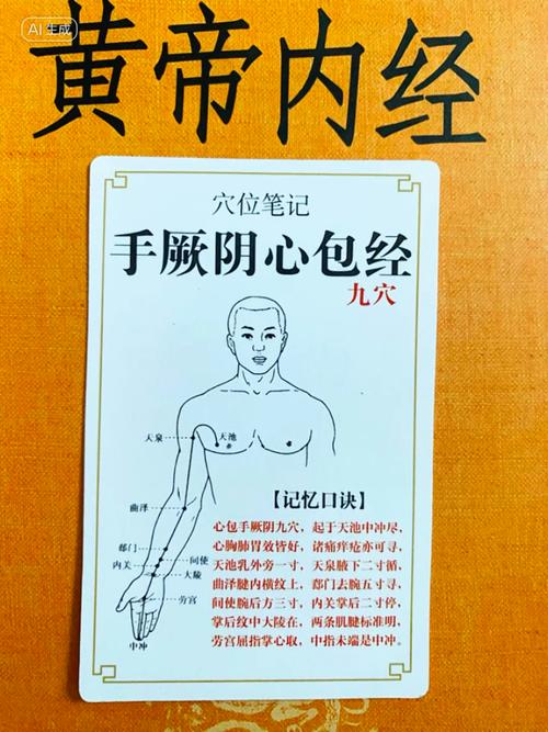 心经的几个重要穴位