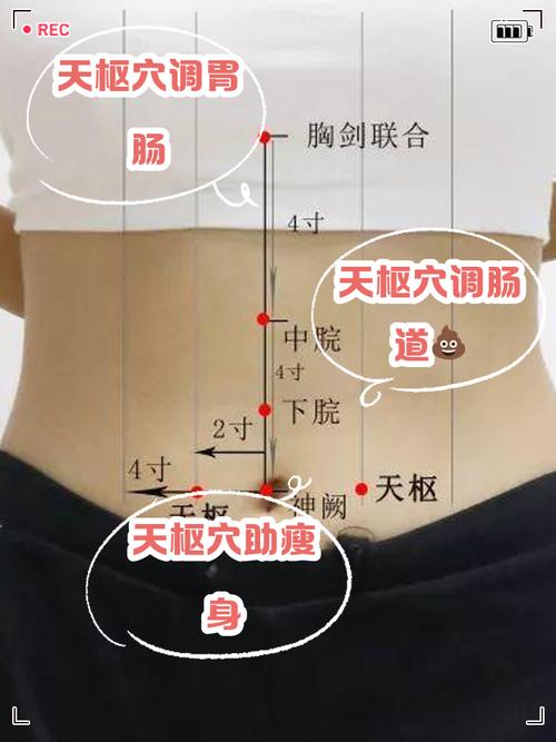 治疗肠瘫痪哪些穴位