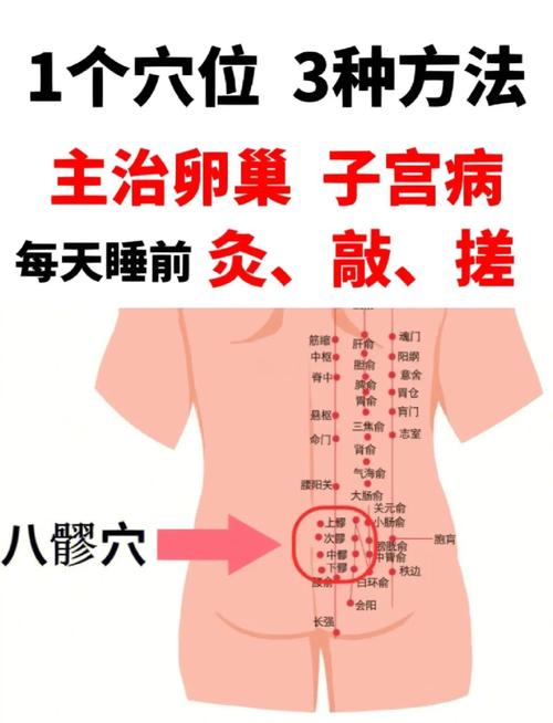 耻骨上方是什么穴位