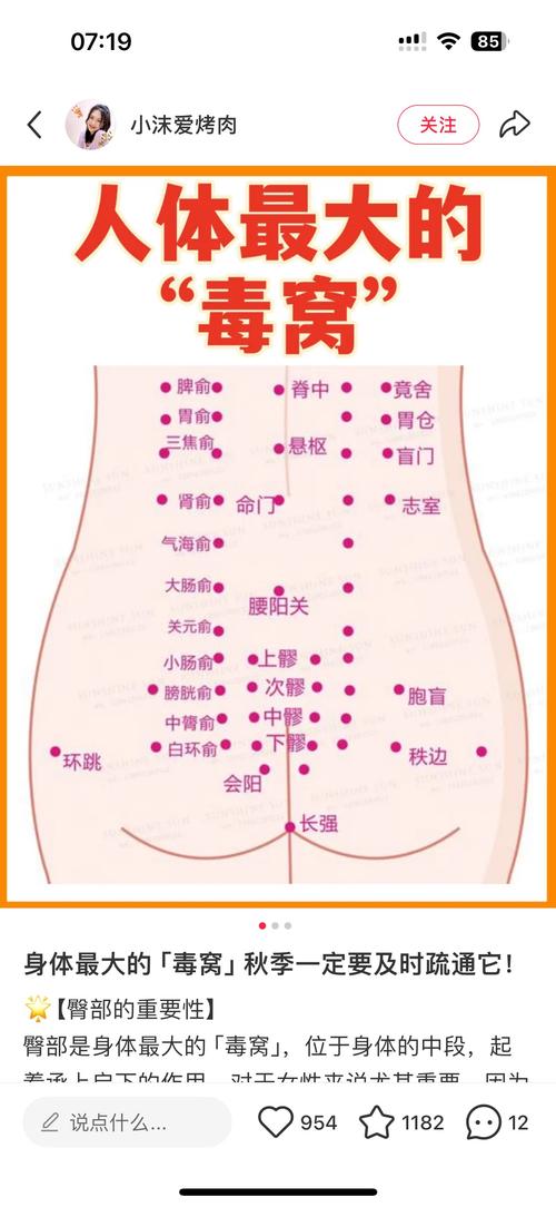 臀部穴位位置图展示