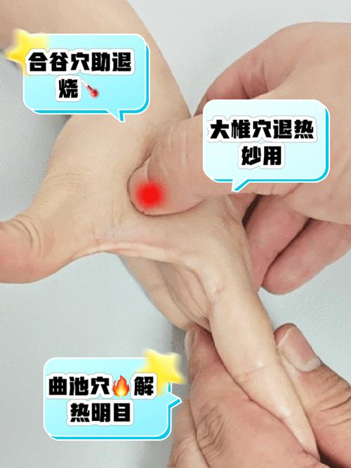 按哪个穴位帮助退烧