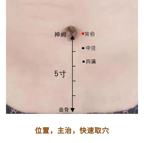 小肠疝气炙哪些穴位