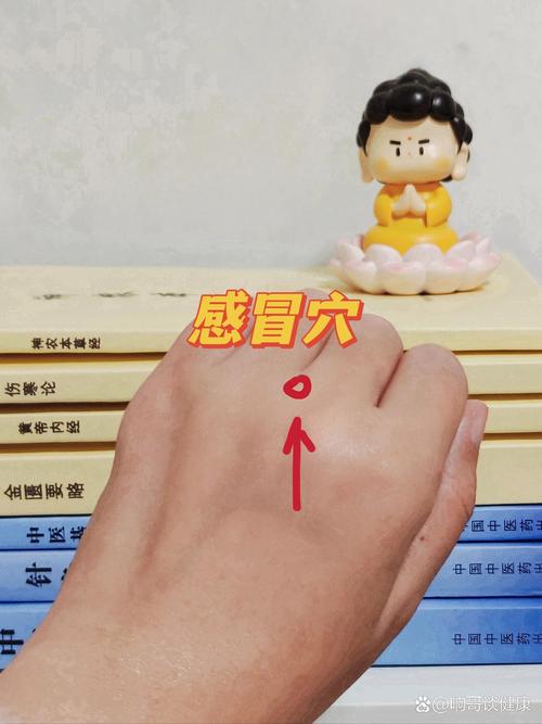 有点低烧按什么穴位