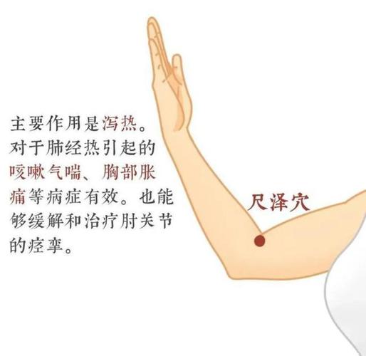 有点低烧按什么穴位