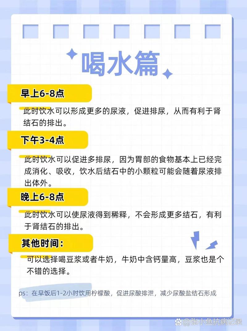 肾结石的饮食护理措施