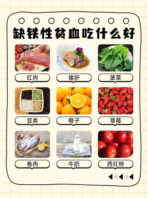 中度贫血饮食注意什么