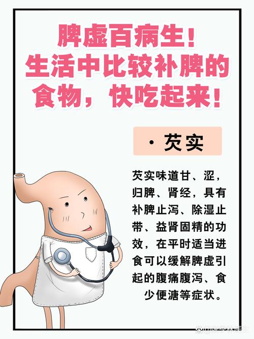 脾栓塞后饮食注意什么