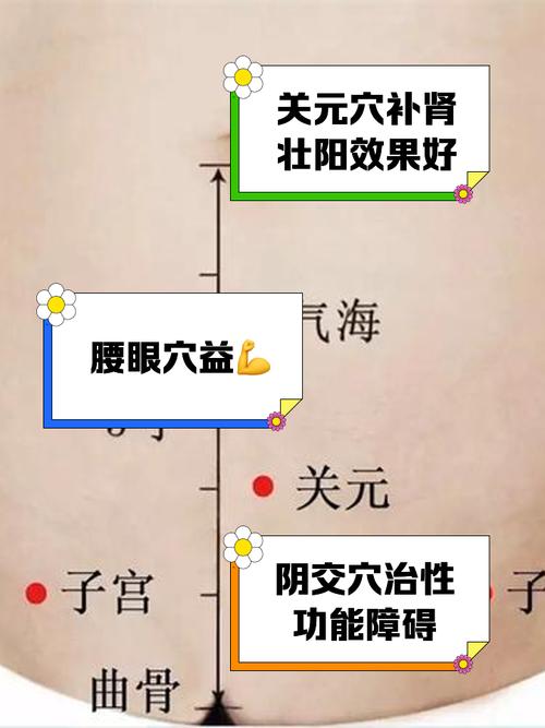 治疗早泄按什么穴位