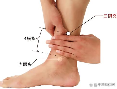 治疗早泄按什么穴位