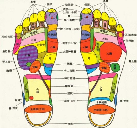 人体脚掌穴位有哪些