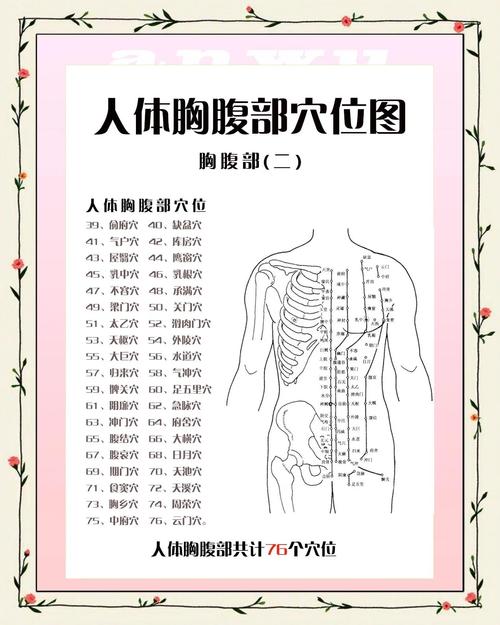 .胸部相关经络穴位