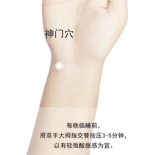 早起犯困按什么穴位