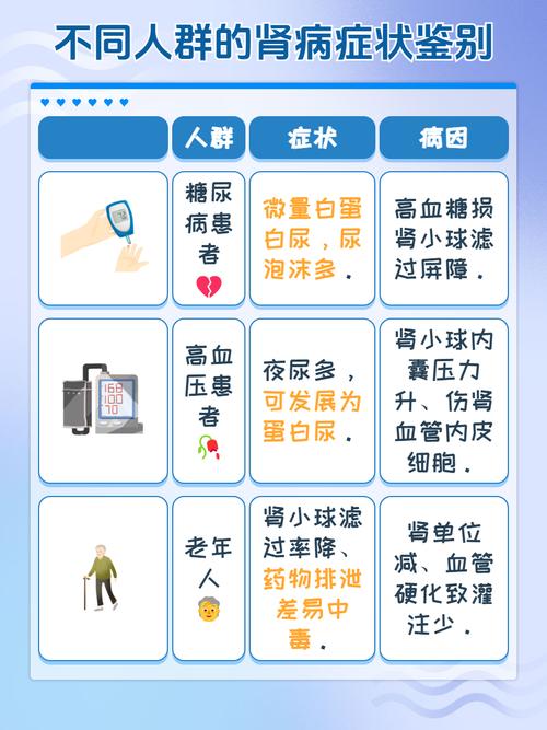 模型肾病饮食注意事项