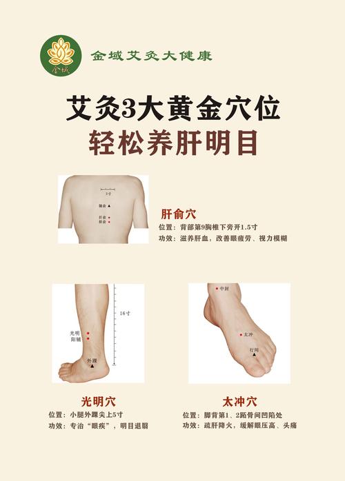 艾灸保健主要穴位图