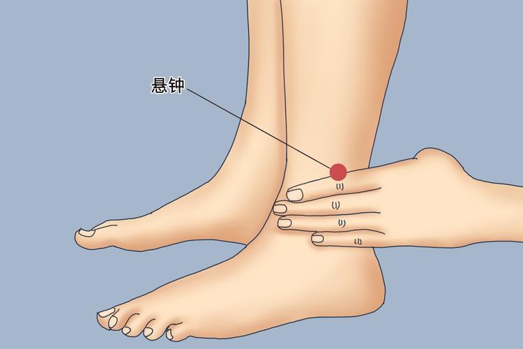 下肢麻木按那个穴位