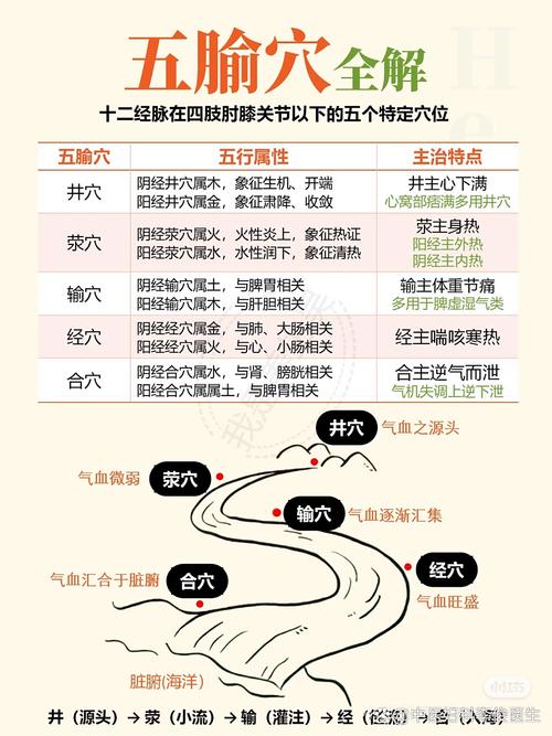 穴位按摩的作用机理