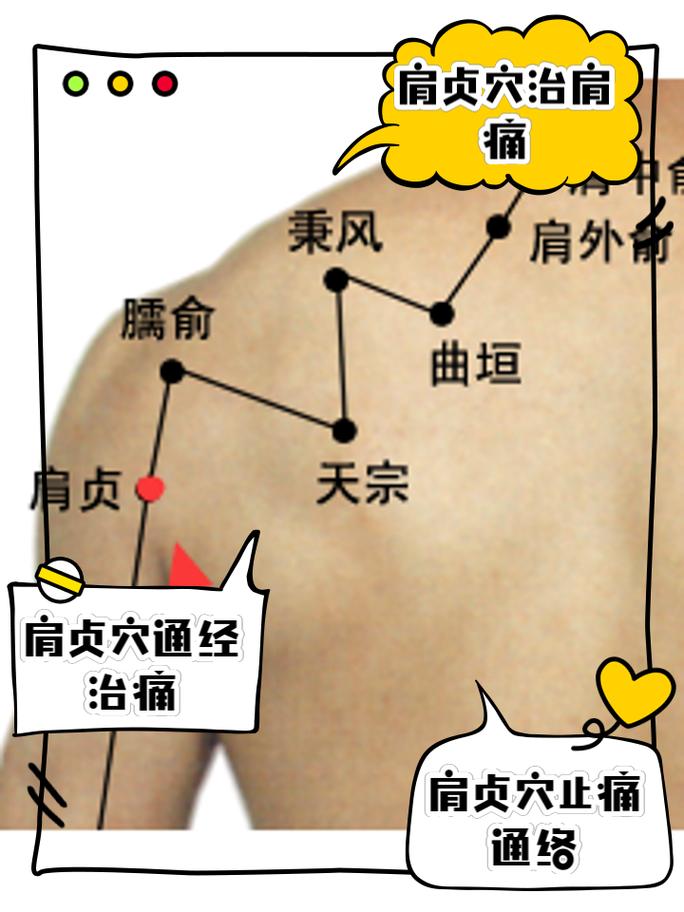 肩部酸痛按什么穴位