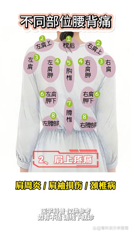 脊椎酸痛按那个穴位