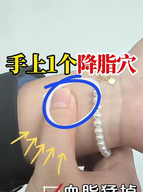 高血脂按摩哪个穴位