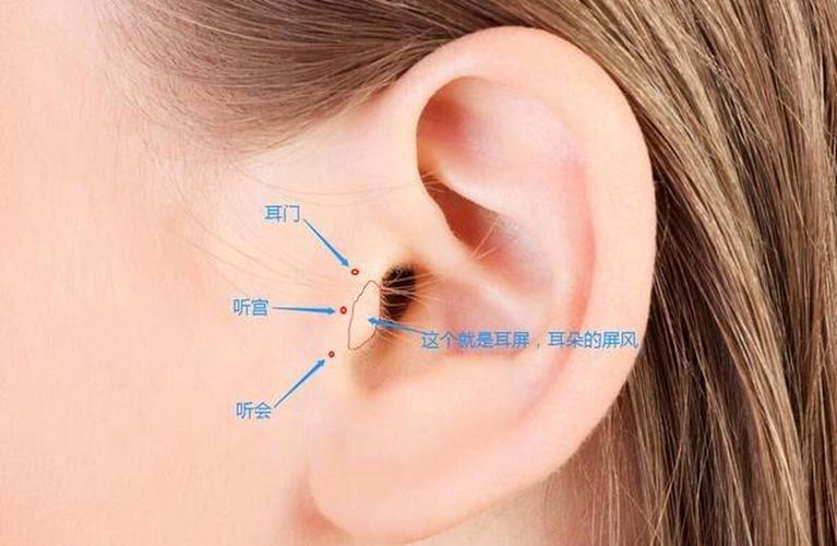 耳朵疼按摩什么穴位