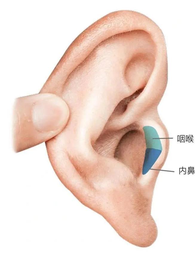 耳朵疼按摩什么穴位