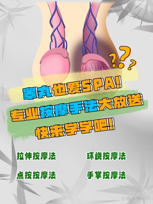 睾丸疼按摩哪个穴位