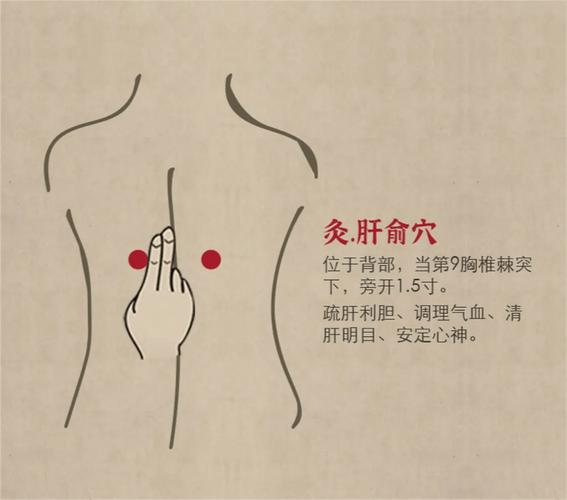 调养肝艾灸哪个穴位