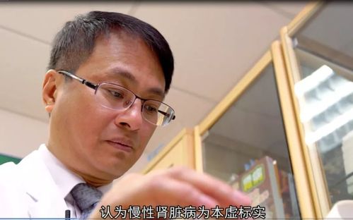 广东省中医院肾病专家