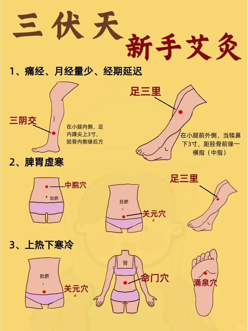 艾灸治疗性功能穴位