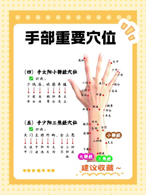 手小指上有什么穴位