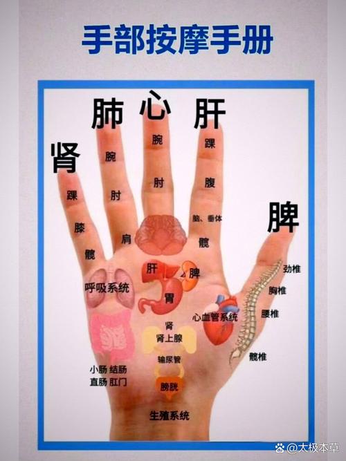 手小指上有什么穴位