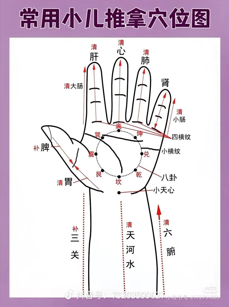 手小指上有什么穴位