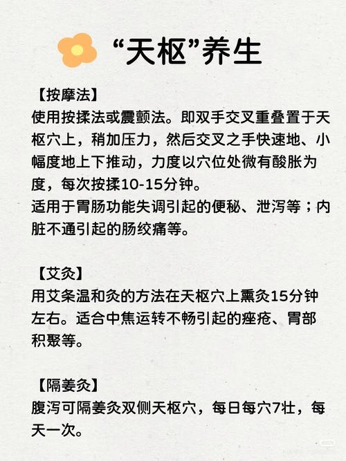 人体穴位天枢位置图