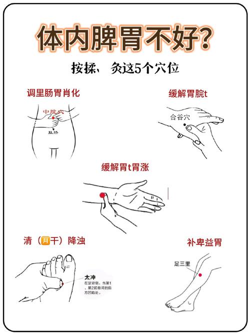 脾胃不好灸什么穴位