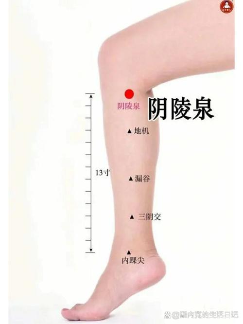 下肢水肿按什么穴位