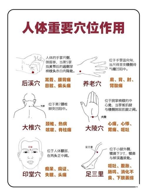 穴位即可 还不收藏