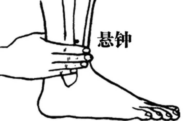 脑部供血不足 穴位