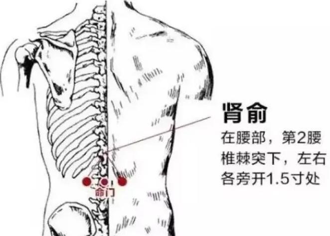 腰部可以针灸的穴位