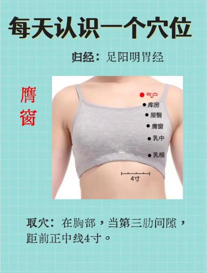 胸部穴位及调理症状