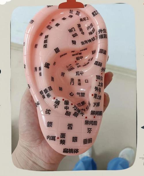 耳朵响那个穴位管用