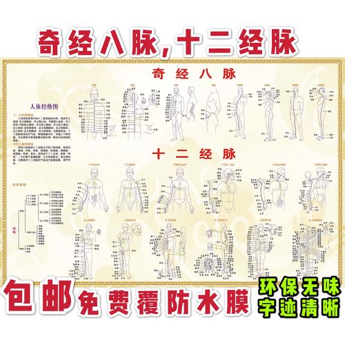 人体腹部彩色穴位图